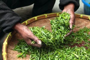 tea-623796_640